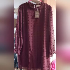 NWT Crimson Swiss Dots Chiffon Dress